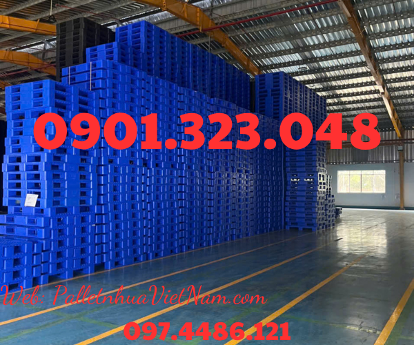 Pallet Nhựa Phường Bình Đông, TP.HCM 