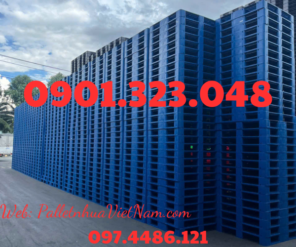 pallet nhựa tại phường Bình Dương, TP.HCM năm 2025