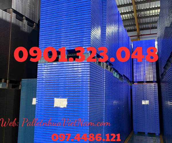 pallet nhựa tại phường Bình Dương, TP.HCM năm 2025