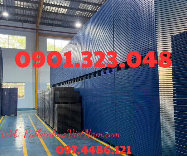 pallet nhựa tại phường Bình Dương, TP.HCM năm 2025