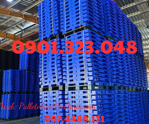 pallet nhựa tại phường Bình Dương, TP.HCM năm 2025