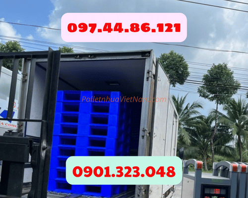 Pallet nhựa tại phường Bình Tây, TP.HCM năm 2025