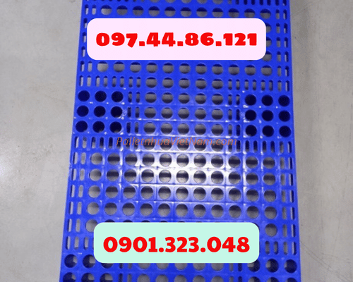 Pallet nhựa tại phường Bình Tân, TP.HCM năm 2025 