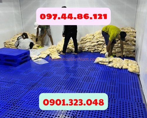 Pallet nhựa Bình Phú giá rẻ nhất Tp.HCM