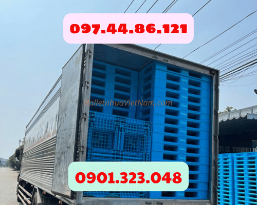 pallet nhựa tại phường Bình Dương, TP.HCM năm 2025