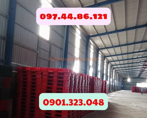 pallet nhựa tại phường Bình Dương, TP.HCM năm 2025