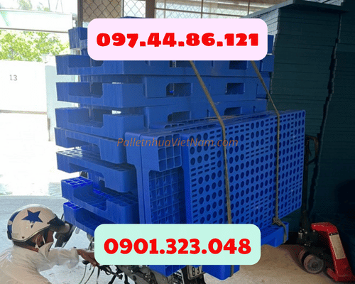 pallet nhựa tại phường Bình Dương, TP.HCM năm 2025