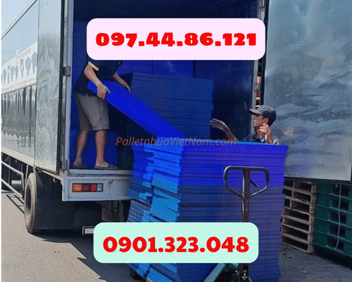 Pallet Nhựa Phường Bến Cát, TP.HCM giá rẻ cạnh tranh, chất lượng hàng đầu