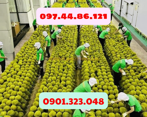 Pallet Nhựa Phường Bến Cát, TP.HCM giá rẻ cạnh tranh, chất lượng hàng đầu