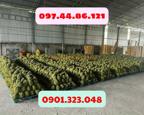 Pallet Nhựa Phường Bến Cát, TP.HCM giá rẻ cạnh tranh, chất lượng hàng đầu
