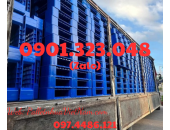 Pallet Nhựa Long Thành, Đồng Nai, VN