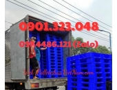 Pallet Nhựa Phường Bà Rịa, Tp.HCM