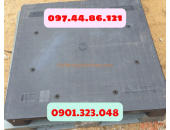 Pallet Nhựa Long Thành, Đồng Nai, VN