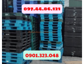Pallet Nhựa Tân Bình, HCM,VN