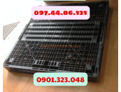 Pallet Nhựa Quận 8, TP.HCM, VN