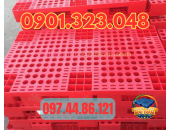 Pallet nhựa Bắc Tân Uyên, Bình Dương, VN