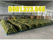Pallet nhựa lót sàn: Giải pháp tối ưu cho kho bãi trong mùa mưa