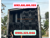 Pallet Nhựa Tân Thới Hiệp, HCM