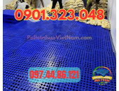 Pallet nhựa Nhà Bè