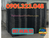 Pallet Nhựa Gò Vấp, TP.HCM,VN