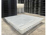Pallet Nhựa Cũ 1100x1300x150mm Trắng Tai Bèo