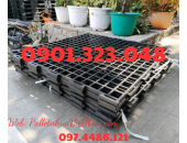 Pallet Nhựa Phường An Nhơn, TP.HCM